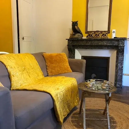 Апартаменты Jolie Studio Au Coeur De Dijon Дижон